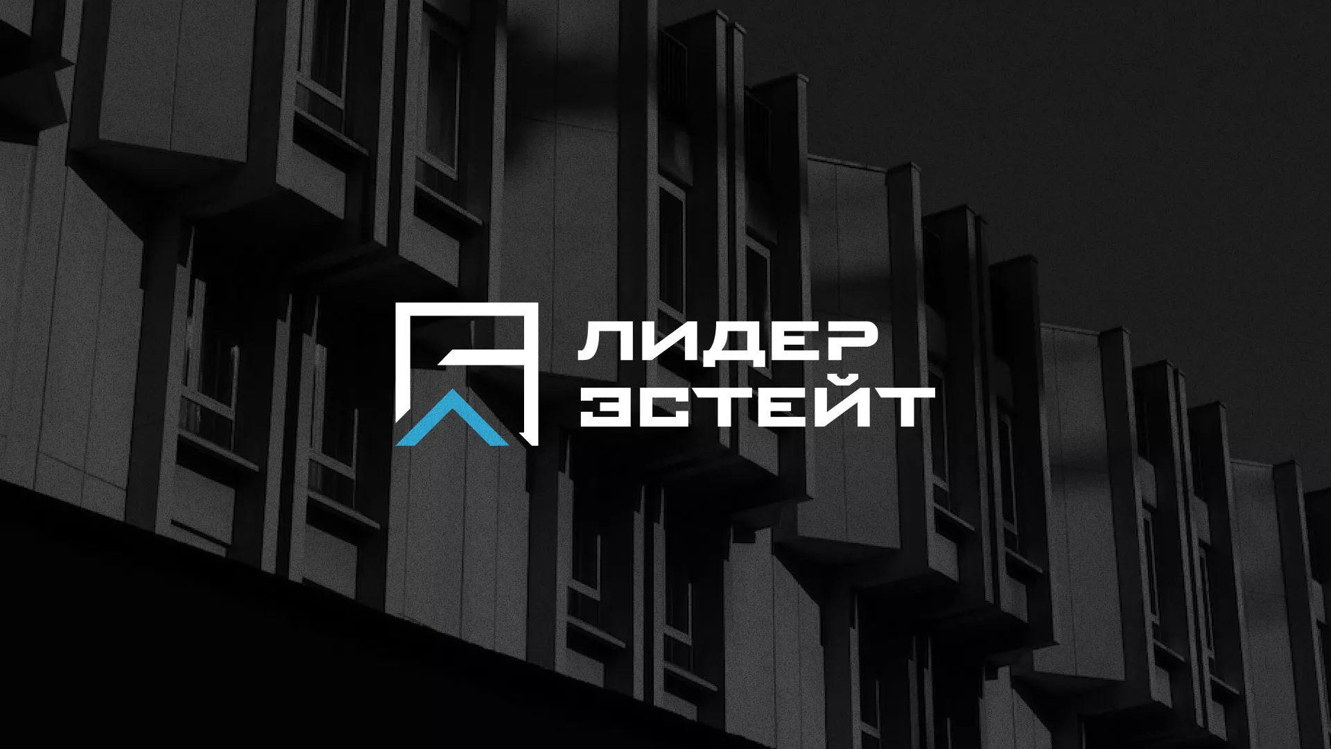 Разработка логотипа агентства недвижимости «Лидер Эстейт» в Соликамске